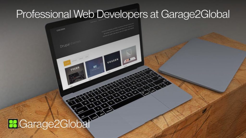 Professional Web Developers at Garage2Global